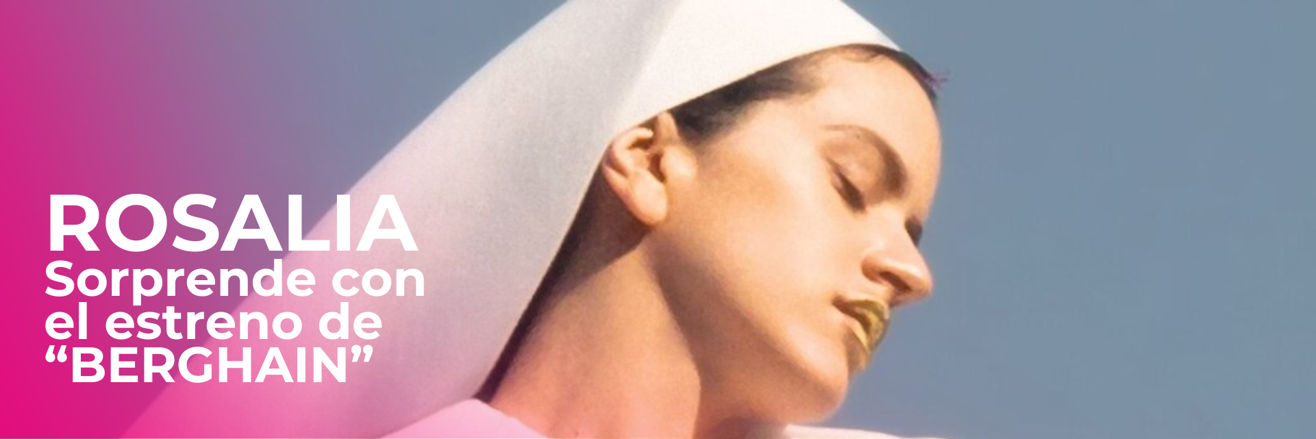 Banner Like Web Rosalia